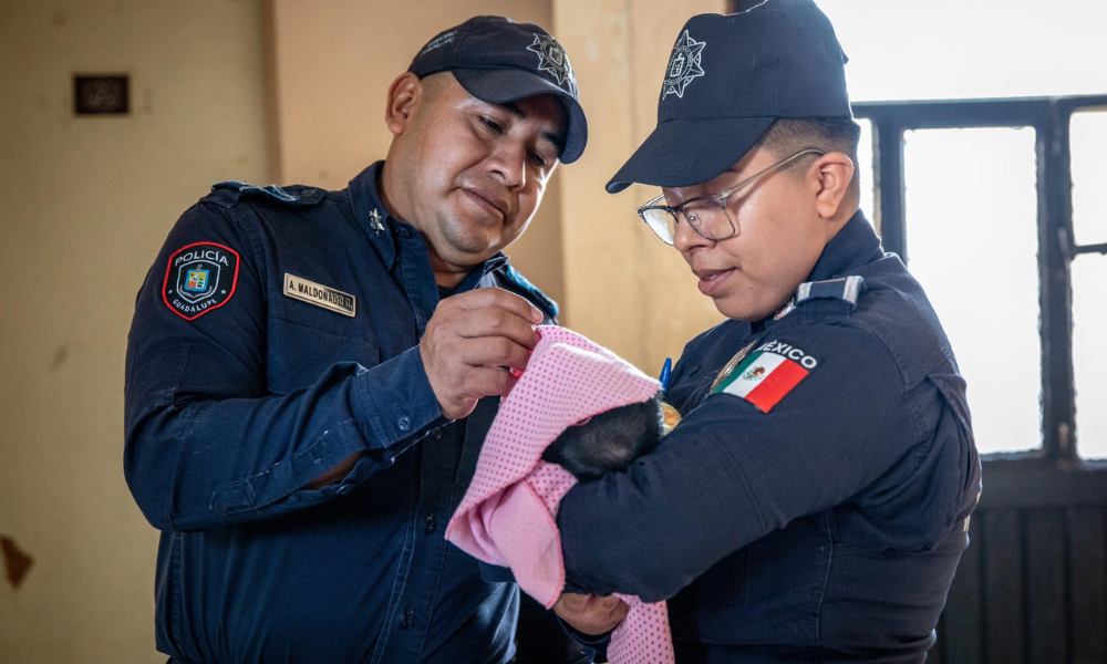 Policías de Guadalupe brindan ayuda y regalos a bebé nacida en la colonia Crispín Treviño