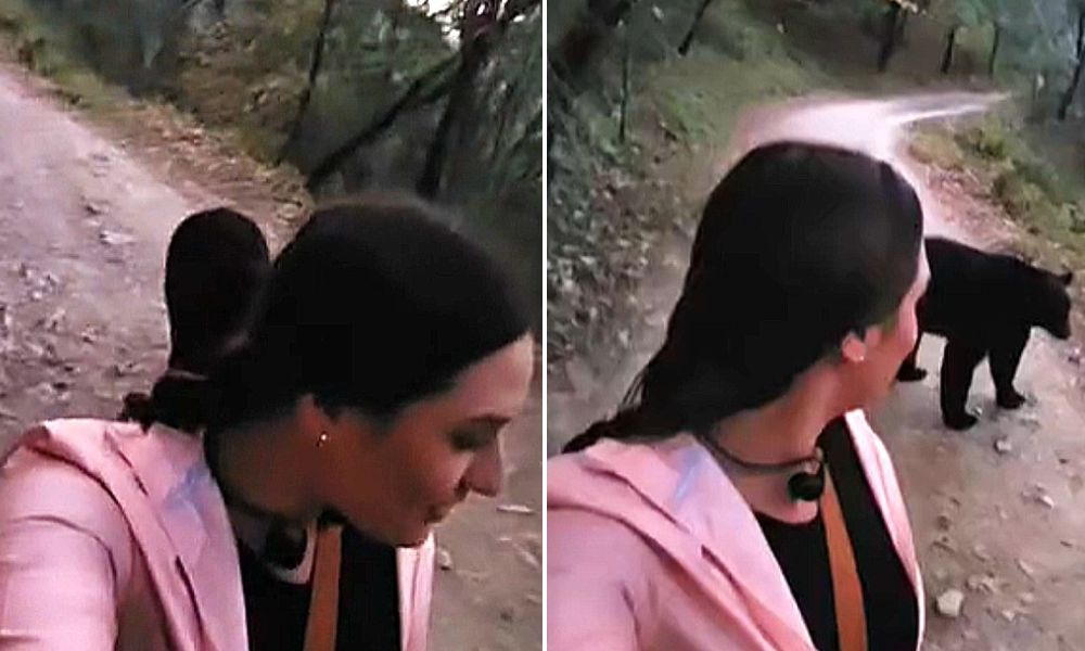 Joven comparte video de su experiencia con un oso en Chipinque