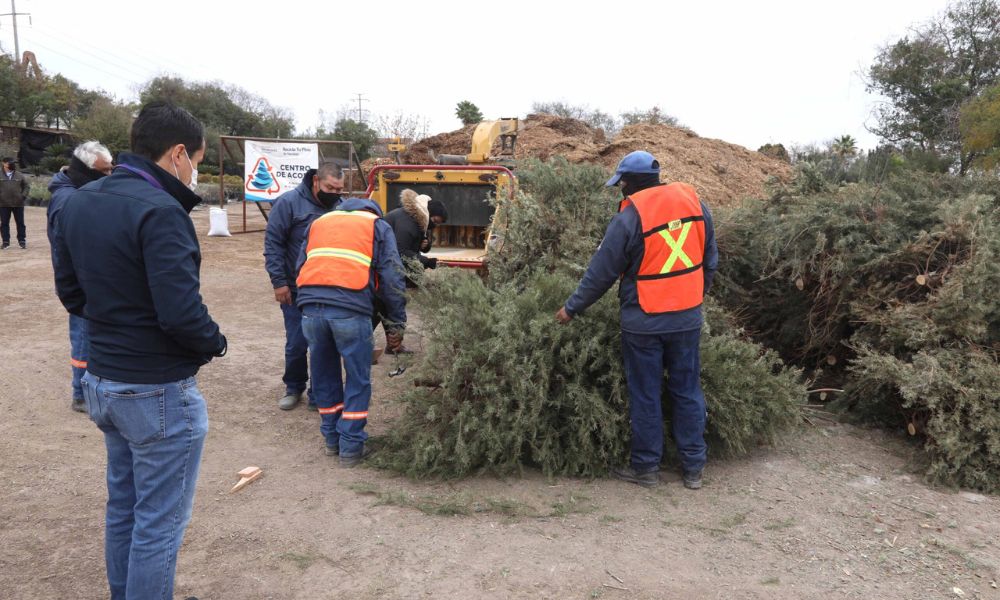 San Nicolás de los Garza inaugura campaña Recicla-Pino 2024 con centros de acopio