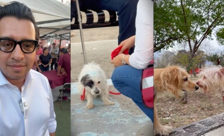 [VIDEO] Jesús Nava impulsa acciones contra el maltrato animal