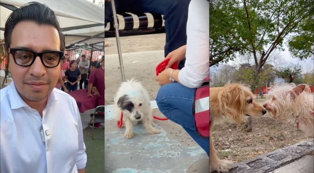 [VIDEO] Jesús Nava impulsa acciones contra el maltrato animal