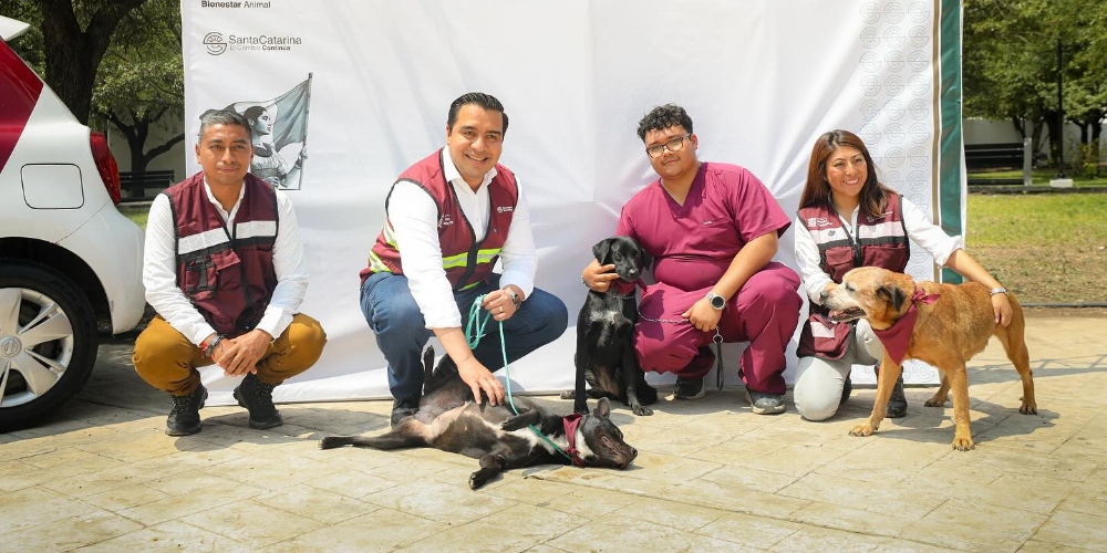 Continúa Jesús Nava con Jornada de Vacunación Antirrábica Canina y Felina