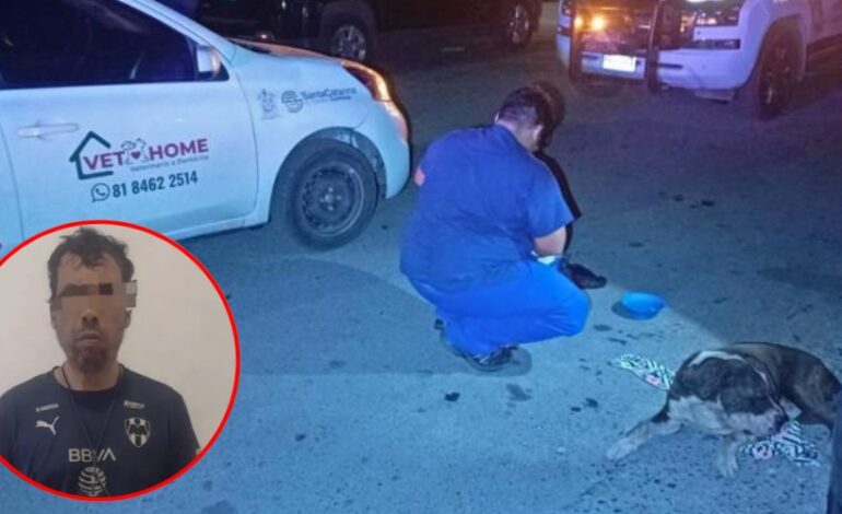 Policía de Santa Catarina detiene a dos hombres por maltrato animal