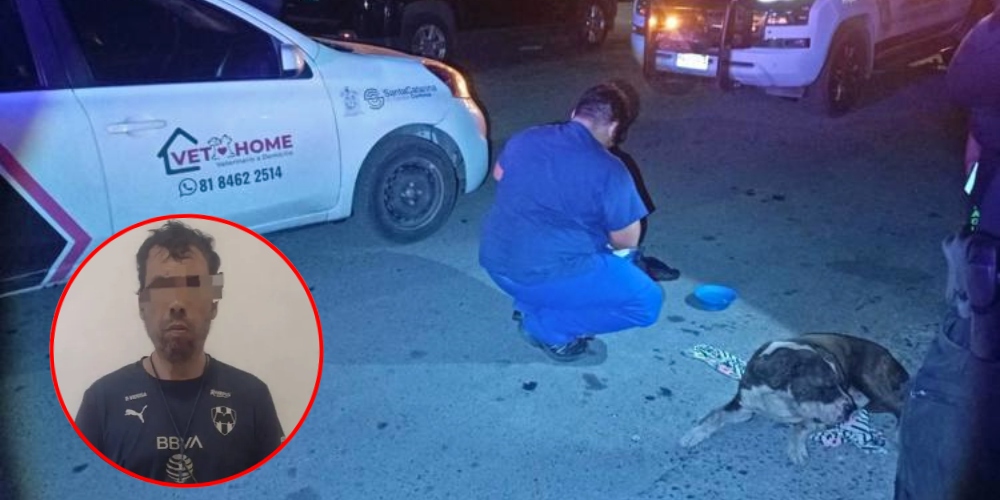 Policía de Santa Catarina detiene a dos hombres por maltrato animal